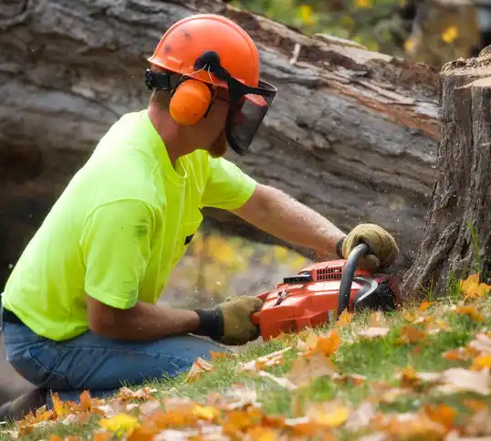 tree services Watchung